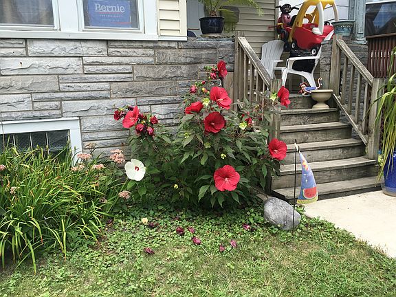 4th image of 2918 N Richmond St