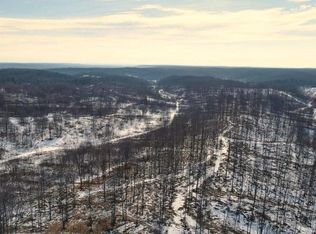 0 W Mount Frederic Rd, Frederic, MI 49733