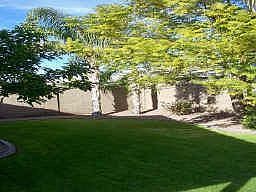 The back yard looks like a country club! Impeccably maintained.