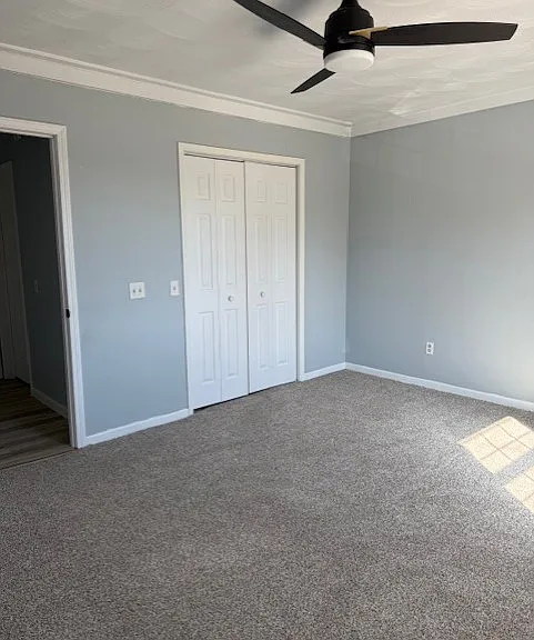 717 W Prospect Ave #D — Photo 7