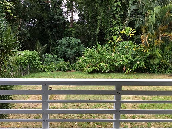 Back jungle view