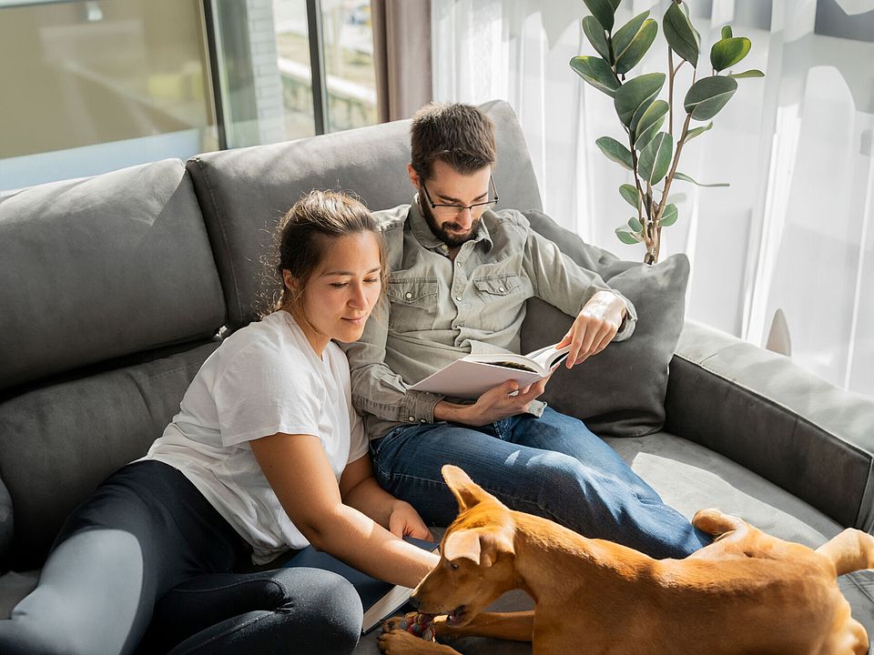 TOPOGRAPH 26 Albert St Auburn MA Zillow