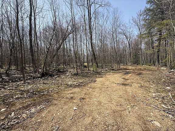 2nd image of S Brasser Rd