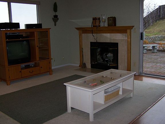 Wood Burning Fireplace