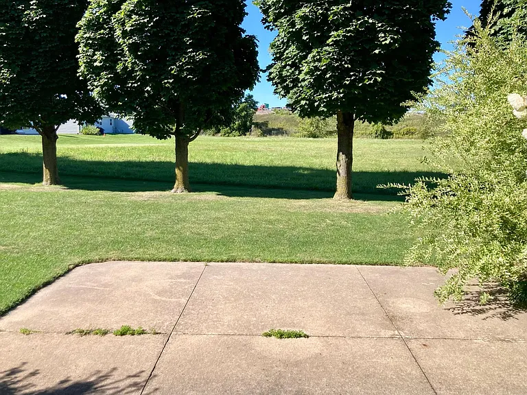Backyard view from the patio doors off the dining room