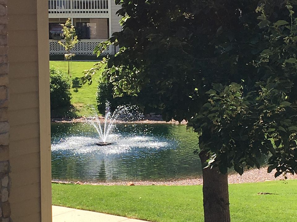 View from Deck