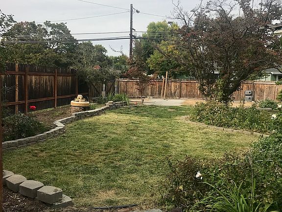 Westside backyard