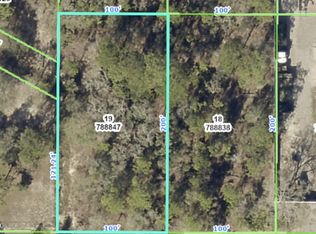 0 Sage Thrasher Ave, Brooksville, FL 34614