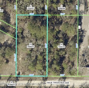 0 Sage Thrasher Ave, Brooksville, FL, 34614
