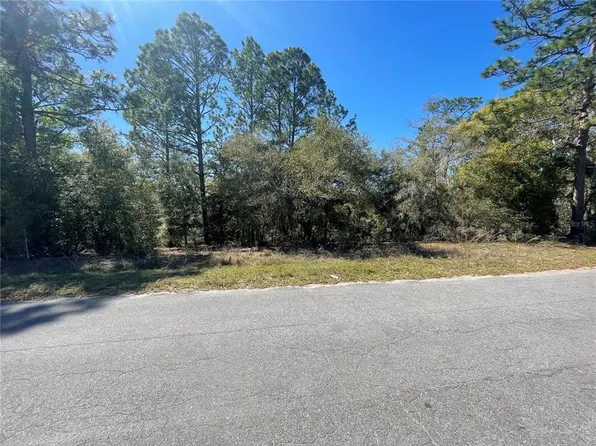 17 Malauka Loop #14, Ocklawaha, FL 32179