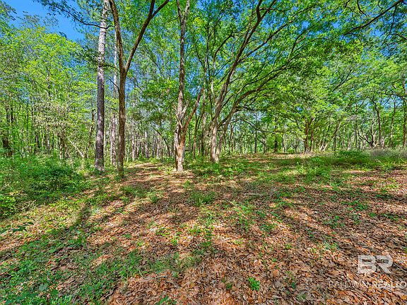 3rd image of 22575 County Road 38