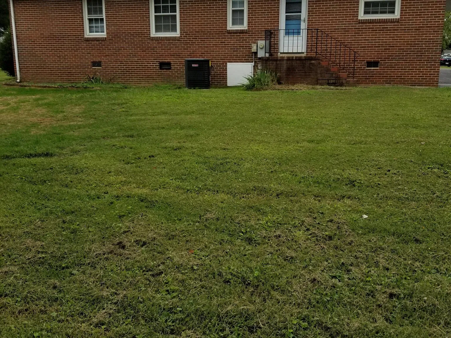 8256 Meadowview Ln — Photo 1