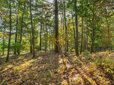 0 Currier Rd, Manchester, MA, 01944