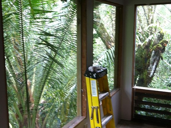 Main House Living room and tree view