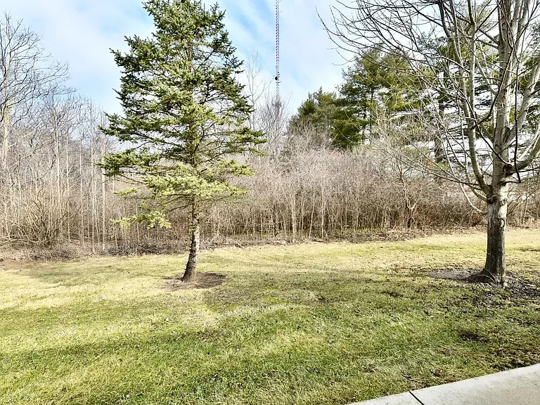 10416 Platinum Dr — Photo 34