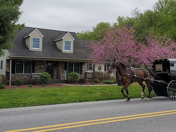 Buggies Pass Regularly