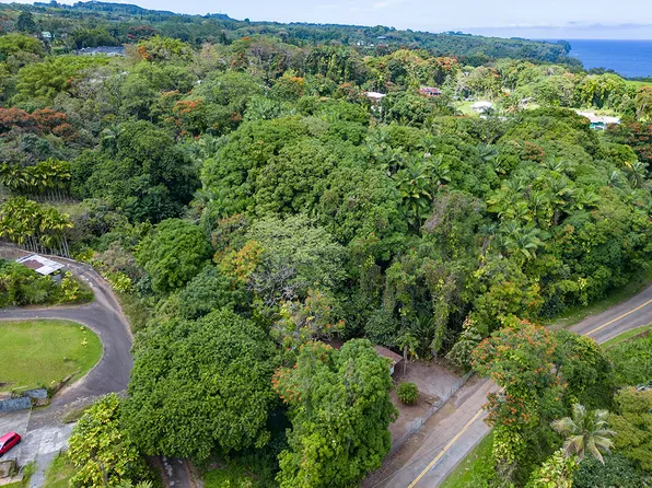 27-437 Old Mamalahoa Hwy, Papaikou, HI 96781