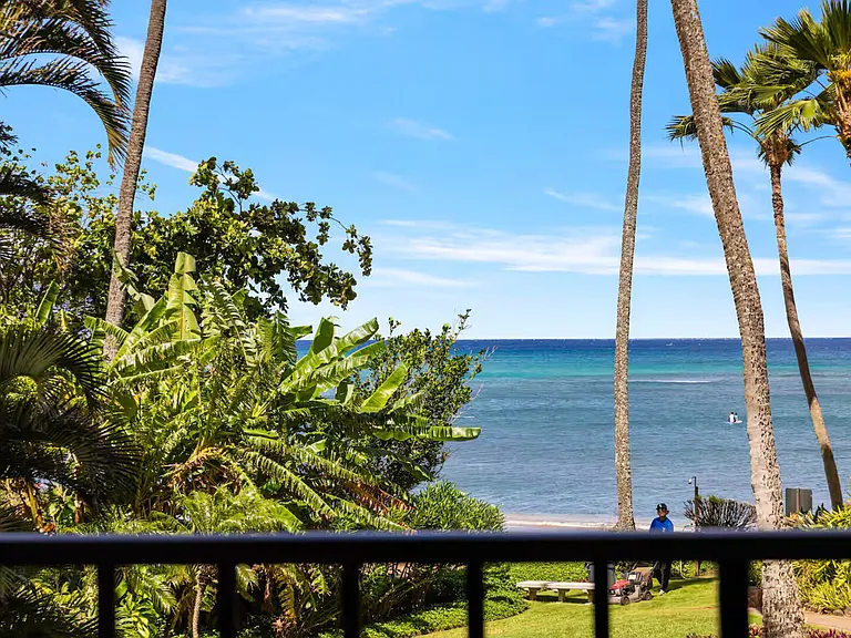 Lower Honoapiilani Rd — Photo 18