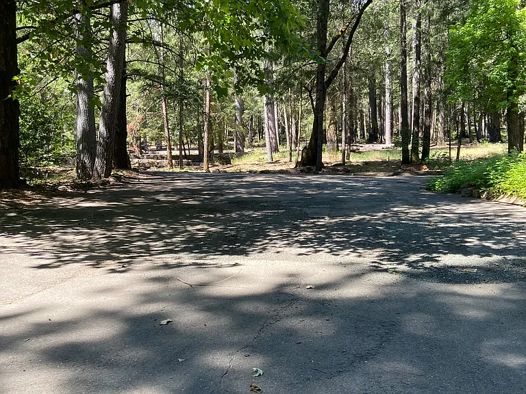 Forest Lake Dr — Photo 4