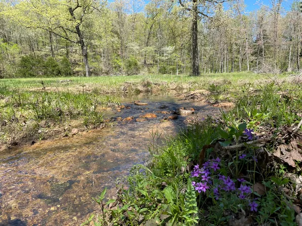 41 Raccoon Ln, Smithville, AR 72466