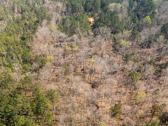 5th image of 0 Lower Big Springs Rd