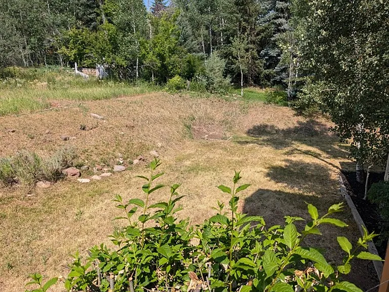 3541 Wagon Wheel Way — Photo 24