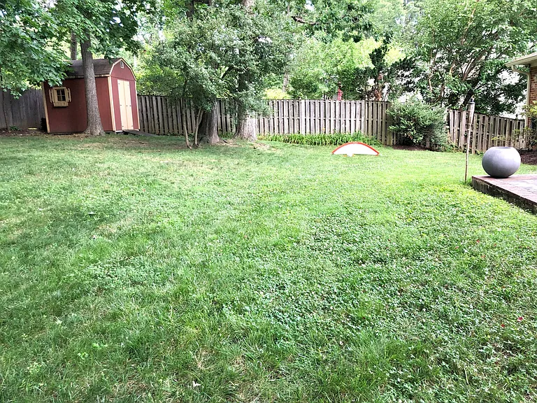 Backyard with Shed in the rear.