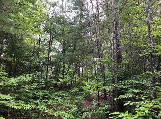 484 Mountain Tops Rd, Blue Ridge, GA 30513