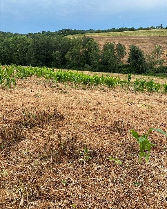 2nd image of Hilltop Rd