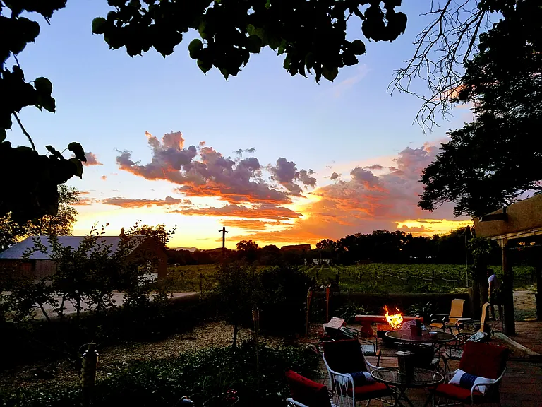 Patio firepit (looking towards vineyard at sunset)