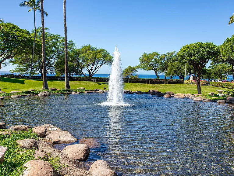 S Kihei Rd — Photo 42