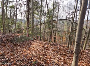 Pole Bridge Rd LOT 38, Laporte, PA 18626