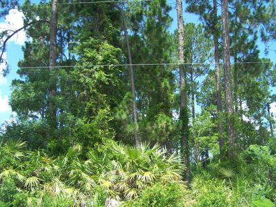 12 Walt Pl, Palm Coast, FL, 32164