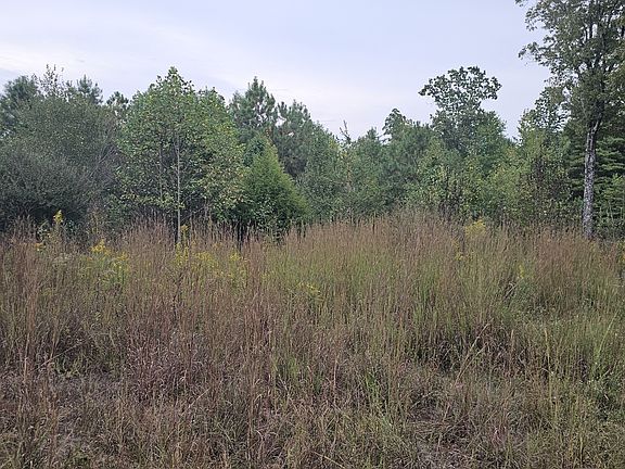 5th image of 0 State Route 56 Rd