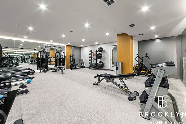 Rented by Brooklyn High Rise LLC | media 44