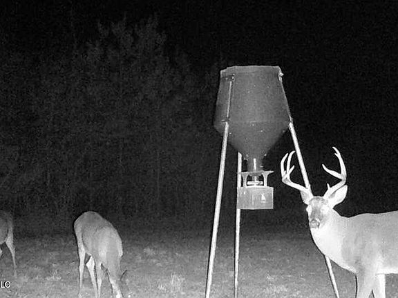 2nd image of 8525 State Boulevard Ext