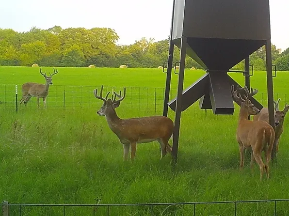 321 Private Road 6815, Eustace, TX 75124