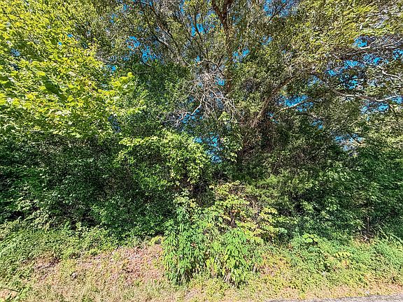 3rd image of 1303 Bassett Rd #22