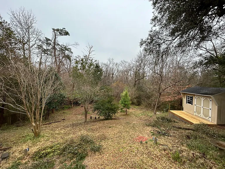 Backyard in the Winter