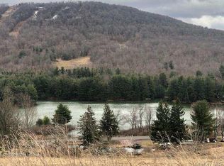 Castle Mountain Rd, Jefferson, NY 12167