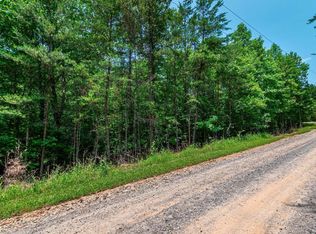 3.35 Pine Ln, Mineral Bluff, GA 30559