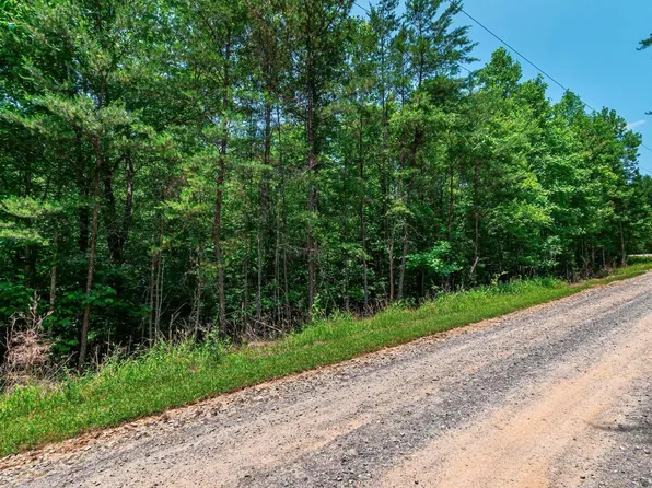 3.35 Pine Ln, Mineral Bluff, GA 30559