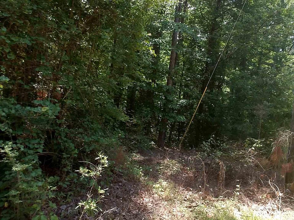 1st image of 73 Jimmys Ln