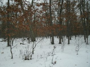 N Irons Rd, Irons, MI 49644