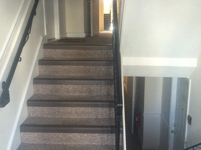 Entry stairs half flight (one of tree).
