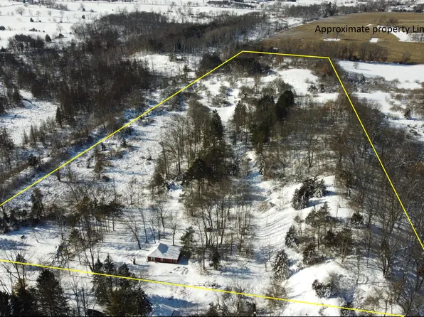 17590 W Austin Rd, Manchester, MI 48158