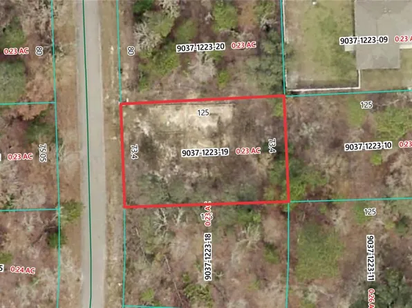 19 Fisher Lane Trak Lot 19, Ocklawaha, FL 32179