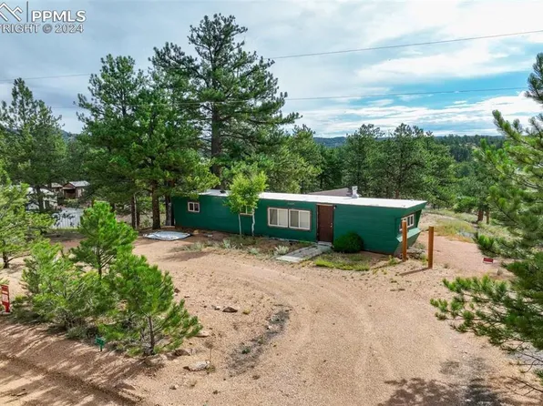 288 Forest Glen Trl, Florissant, CO 80816