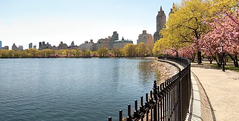 Rented by Douglas Elliman