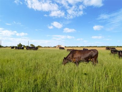 Hodge Rd, Eddy, TX, 76524